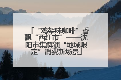 “鸡架味咖啡”香飘“西红市”——沈阳市集解锁“地域限定”消费新场景
