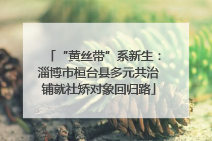 “黄丝带”系新生：淄博市桓台县多元共治铺就社矫对象回归路