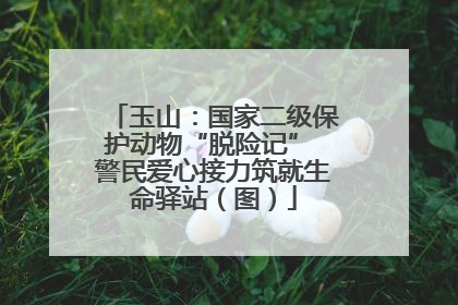 玉山：国家二级保护动物“脱险记” 警民爱心接力筑就生命驿站（图）