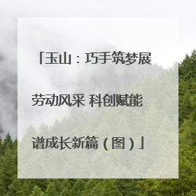 玉山：巧手筑梦展劳动风采 科创赋能谱成长新篇（图）