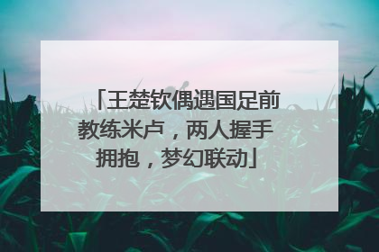 王楚钦偶遇国足前教练米卢，两人握手拥抱，梦幻联动