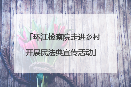 环江检察院走进乡村开展民法典宣传活动