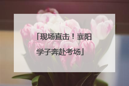 现场直击！襄阳学子奔赴考场