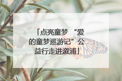 点亮童梦 “爱的童梦巡游记”公益行走进溆浦