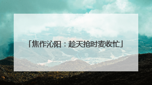 焦作沁阳：趁天抢时麦收忙