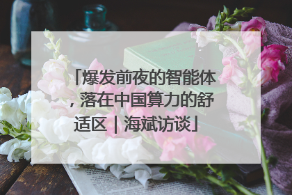 爆发前夜的智能体，落在中国算力的舒适区｜海斌访谈