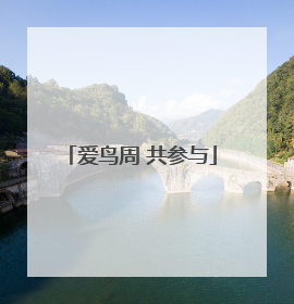 爱鸟周 共参与