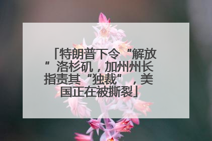 特朗普下令“解放”洛杉矶，加州州长指责其“独裁”，美国正在被撕裂