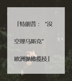 特朗普：“没空理马斯克” 欧洲抛橄榄枝