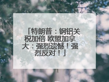 特朗普：钢铝关税加倍 欧盟加拿大：强烈遗憾！强烈反对！