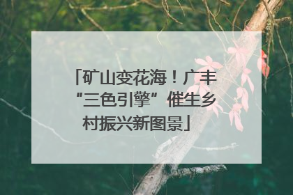 矿山变花海！广丰“三色引擎”催生乡村振兴新图景