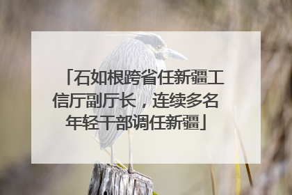 石如根跨省任新疆工信厅副厅长，连续多名年轻干部调任新疆