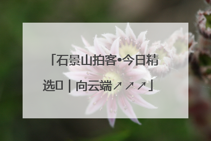石景山拍客•今日精选⑳｜向云端↗↗↗
