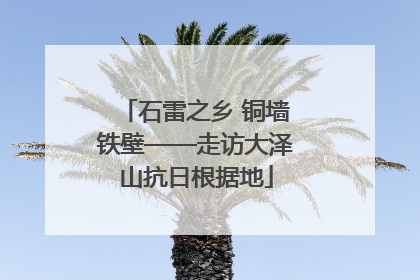 石雷之乡 铜墙铁壁——走访大泽山抗日根据地