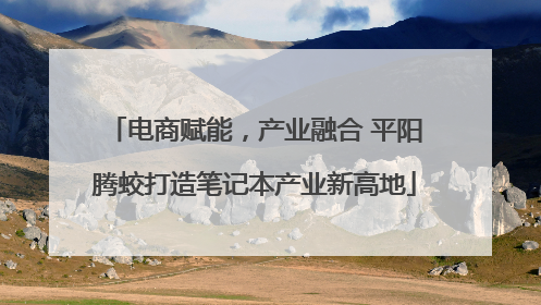 电商赋能，产业融合 平阳腾蛟打造笔记本产业新高地