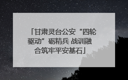 甘肃灵台公安“四轮驱动”砺精兵 战训融合筑牢平安基石