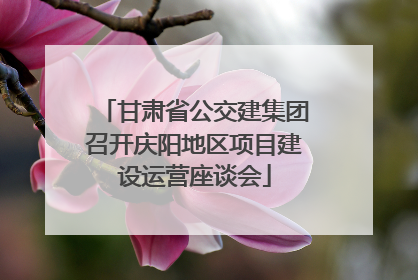 甘肃省公交建集团召开庆阳地区项目建设运营座谈会