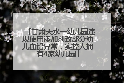 甘肃天水一幼儿园违规使用添加剂致部分幼儿血铅异常，实控人拥有4家幼儿园