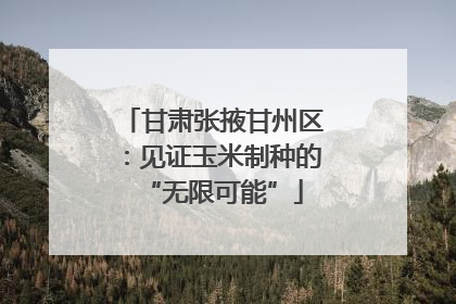 甘肃张掖甘州区：见证玉米制种的“无限可能”