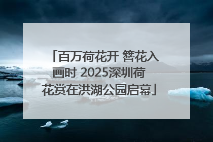 百万荷花开 簪花入画时 2025深圳荷花赏在洪湖公园启幕