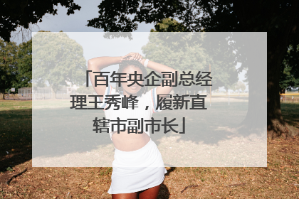 百年央企副总经理王秀峰，履新直辖市副市长