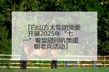 白山方大集团党委开展2025年“七一”看望慰问抗美援朝老兵活动