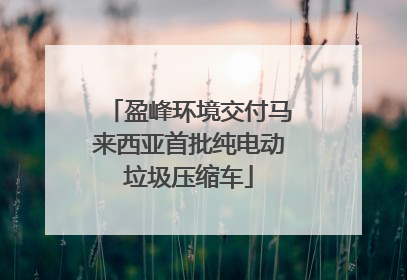 盈峰环境交付马来西亚首批纯电动垃圾压缩车