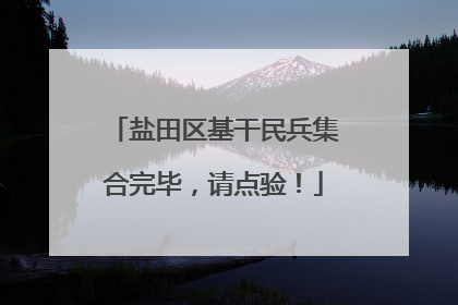 盐田区基干民兵集合完毕，请点验！