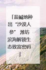 盐碱地种出“沙漠人参” 潍坊滨海解锁生态致富密码