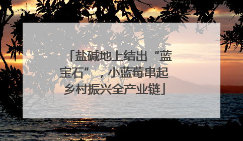 盐碱地上结出“蓝宝石”，小蓝莓串起乡村振兴全产业链