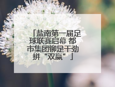 盐南第一届足球联赛启幕 都市集团铆足干劲拼“双赢”