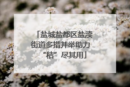 盐城盐都区盐渎街道多措并举助力“秸”尽其用