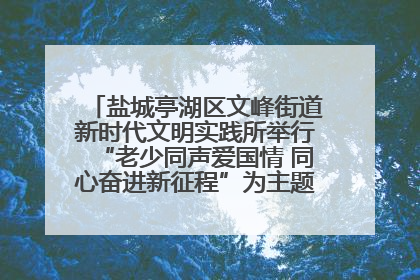 盐城亭湖区文峰街道新时代文明实践所举行“老少同声爱国情 同心奋进新征程”为主题的红色文化活动