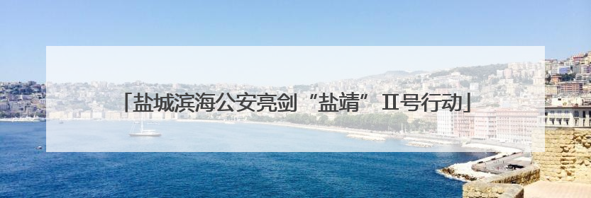 盐城滨海公安亮剑“盐靖”Ⅱ号行动