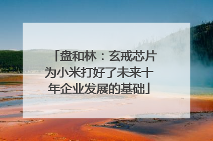盘和林：玄戒芯片为小米打好了未来十年企业发展的基础