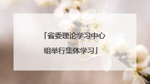 省委理论学习中心组举行集体学习