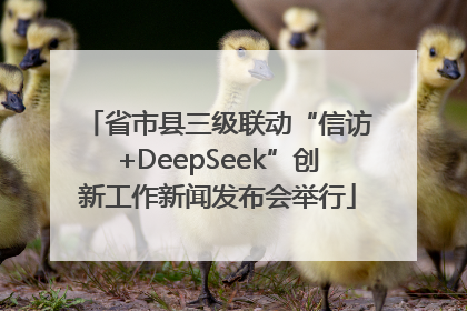 省市县三级联动“信访+DeepSeek”创新工作新闻发布会举行