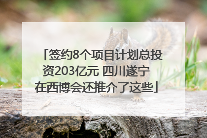 签约8个项目计划总投资203亿元 四川遂宁在西博会还推介了这些