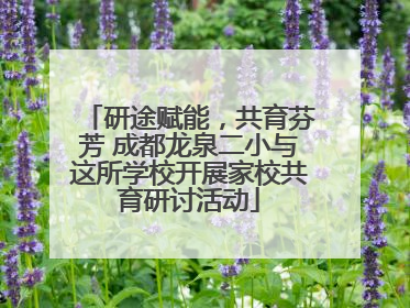 研途赋能，共育芬芳 成都龙泉二小与这所学校开展家校共育研讨活动
