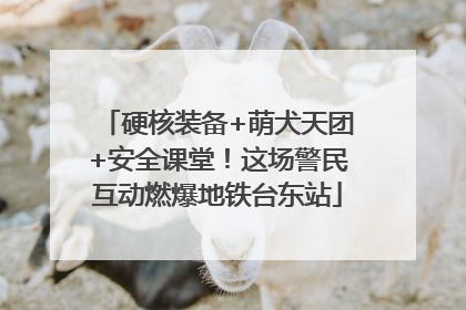 硬核装备+萌犬天团+安全课堂！这场警民互动燃爆地铁台东站
