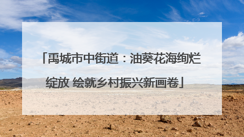 禹城市中街道：油葵花海绚烂绽放 绘就乡村振兴新画卷