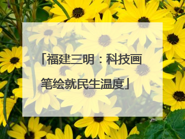 福建三明：科技画笔绘就民生温度