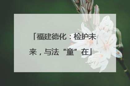 福建德化：检护未来，与法“童”在