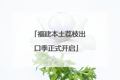 福建本土荔枝出口季正式开启