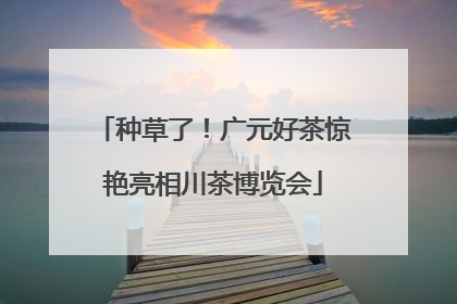 种草了！广元好茶惊艳亮相川茶博览会