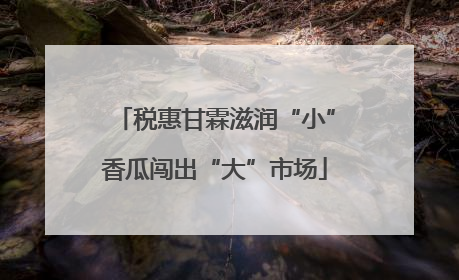 税惠甘霖滋润“小”香瓜闯出“大”市场