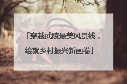 穿越武陵最美风景线，绘就乡村振兴新画卷