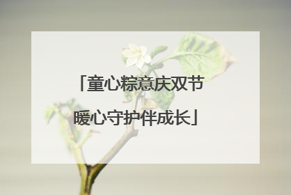 童心粽意庆双节 暖心守护伴成长