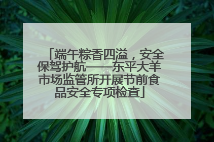 端午粽香四溢，安全保驾护航——东平大羊市场监管所开展节前食品安全专项检查