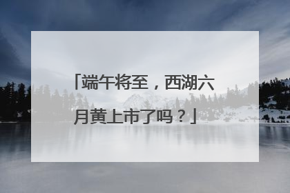 端午将至，西湖六月黄上市了吗？